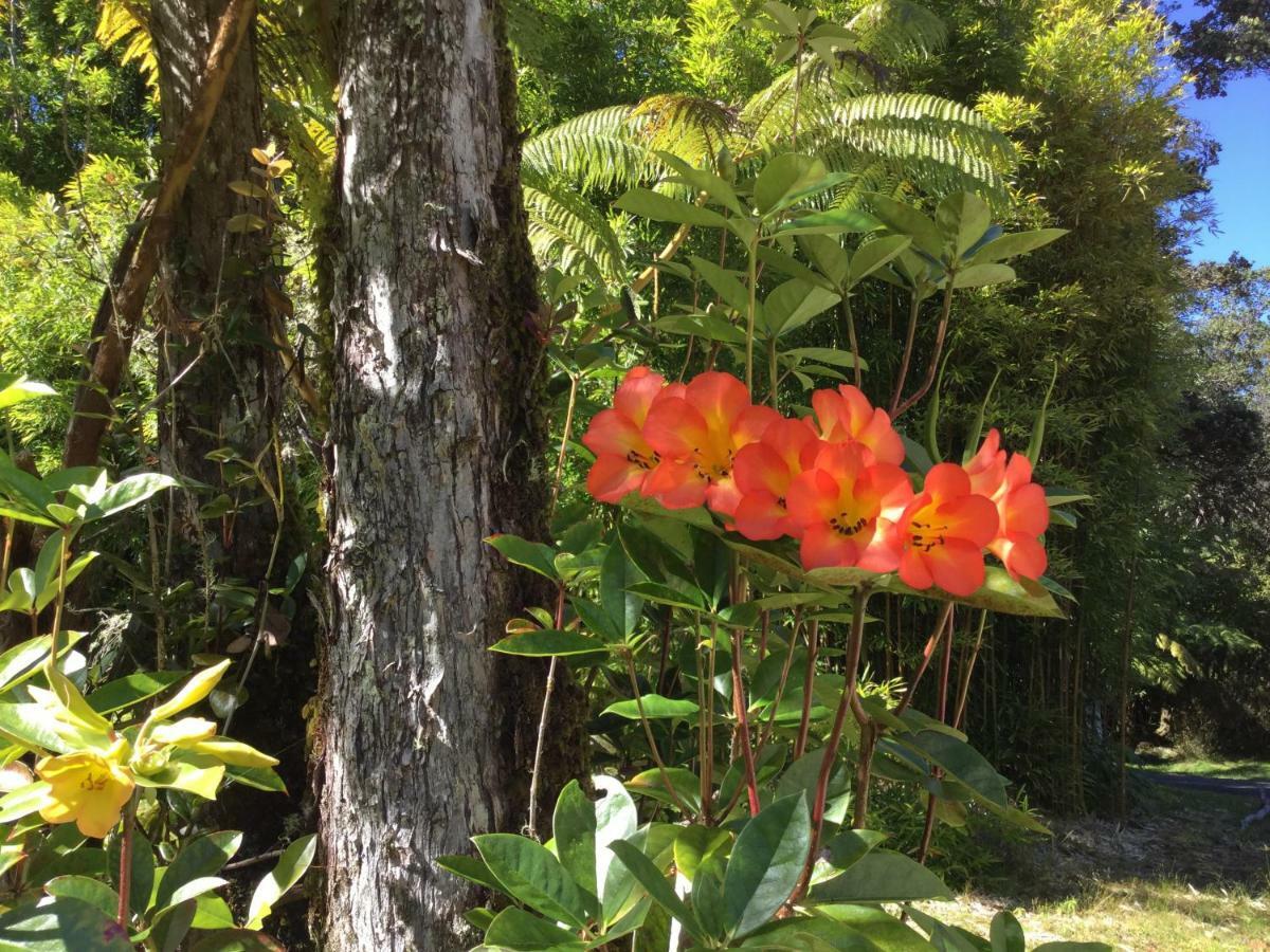 Hale 'Ohu Bed & Breakfast Volcano Exterior foto