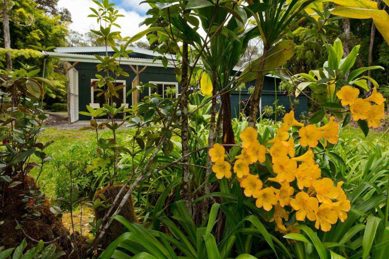 Hale 'Ohu Bed & Breakfast Volcano Exterior foto